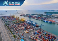 Transporte do frete de mar internacional de FCL e de LCL de China a Omã