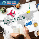 Transporte internacional e logística de reembalagem globais de China DDP DDU