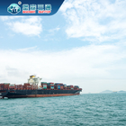 China às Amazonas Dropship do remetente de frete do transporte do mar de Austrália a Europa