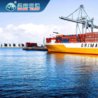 Remetente de frete do transporte internacional do FBA, serviço de envio DDU da logística de NVOCC